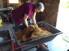 seed-and-sawdust